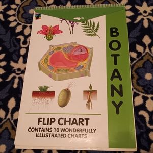 Educat Rainbow Bridge Publishing Educational Botany Chart for Teachers 2006